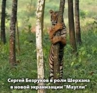 Не-а, это не Безруков. Берёза должна быть. И ХЗ откуда они в Индии.