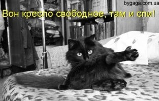 Это моё место!