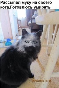 Улыбатор. Большая подборка