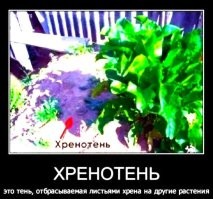 16 случаев, когда тени жили своей жизнью