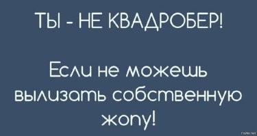 «Квадроберство» в Америке всё больше доходит до безумия: девушка установила у себя дома лоток