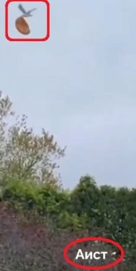 Ага, мы так сразу и поверили!