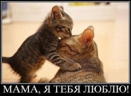25 трогательных поцелуев братьев наших меньших