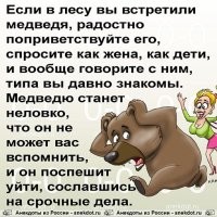 Медведь-шатун: главная опасность зимнего леса