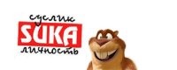 Калифорнийские суслики начали охотиться на полевок