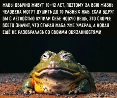Демотиваторы для поднятия настроения