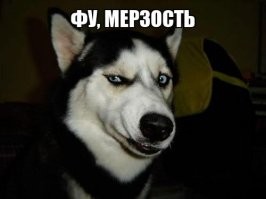 Видео с запахом: шампунь из коровьего навоза