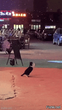 Солянка от 24.12.2024