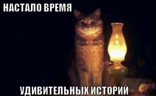 Фельдшер скорой помощи рассказала историю  о типичной кошатнице