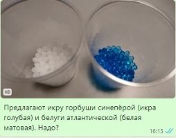 Депутат, конечно, чудак на букву М, но и людей я тоже не понимаю, что за ежегодная истерия с этой икрой? На работе как НГ, начинается беготня "- А ты купил икру? А я знаю где дешевле!!! " .... Дурдом какой-то. В итоге разослал в чаты им сообщение, многим просто мозг окончательно поломал