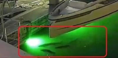 А рыбы то, а рыбы....