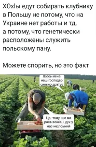 Политический мониторинг (515)