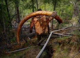 Пффф их там тоннами добывают и на черном рынке реализовывают