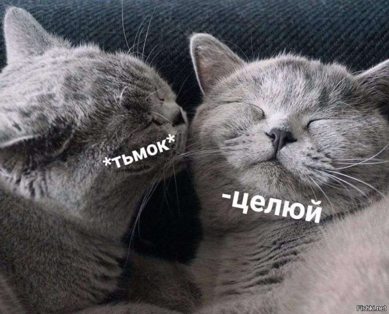 Солянка от 27.12.2024