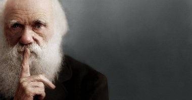 Додумалась сидеть у воды на скользких камнях когда такие барашки в пену закручиваются в море. Я один раз так в Алуште с буны не улетел, волной окатило с ног до головы. А так конечно...