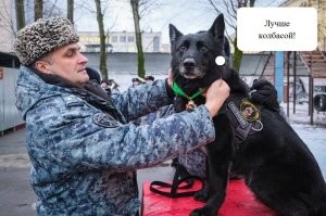 В Санкт-Петербурге служебную собаку впервые наградили медалью Росгвардии