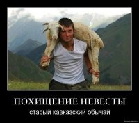 В Красноярске мужчина притащил живого барана в квартиру