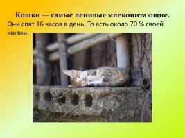 Пфф, 8 часов- слабаки, неудачники.