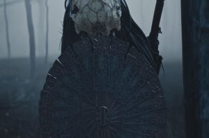 Видал я уже что-то подобное