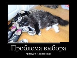 20 забавных домашних питомцев, у которых есть любопытные привычки