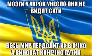 Политический мониторинг (517)