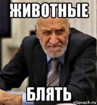 Люди очередь занимали с вечера: толпа людей по заказу владельца "ограбила" его магазин