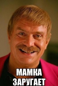 Если бы коты умели готовить