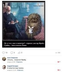 Еда для уличного кота