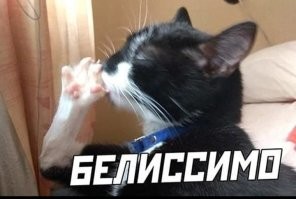 Никого не задел