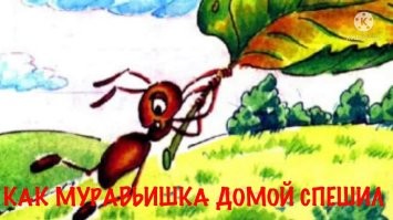 Пирамида Болла – чудо природы, затерянное в океане