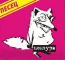 Женщина, которая предупреждала всех остерегаться мошенников, сама стала жертвой мошенника