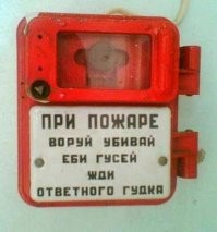Сегодня ты гусей ибёшь, а завтра Родину пропьешь