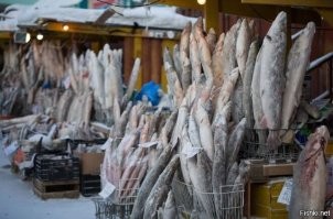 Ммммм.. строганинка... жеребятинка... карасики,
Эээх по чему я сейчас не дома...