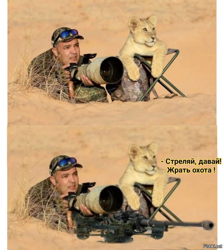 Большая фотоподборка