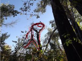 Айр-джордан слым-данк))))