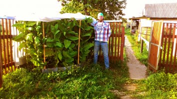 Засуньте себе их в анус...табак вирджиния голд, правильно сушеный-ферментизированый, знакомые люди спрашивают чего курю ( а курю не часто), потом зае... выпрашивать))))