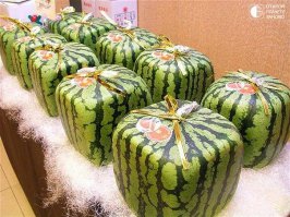 не..во японский крыжовник