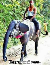 это как чурка по золотому айфону, в куртке армани, и с ролексом на руке, в маршрутке трещит....