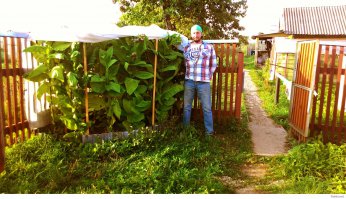 Если я для тебя мальчик, тебе сколько, дряхлая моя?))) ладно, если не можешь объективно воспринимать, объясняю, данный пост  крайне не компетентен, потому как, очень изначально все выглядит странно, зачем писать 1-й день, 2-й день, в таком формате. Значится нужно на первый день себе тарелку с ложкой купить? на второй день назначить когда кушать? пугает день 8й, сама посмотри в это бред, и про мальчика кстате, а кто ты?