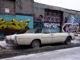 Супер...двери распашные