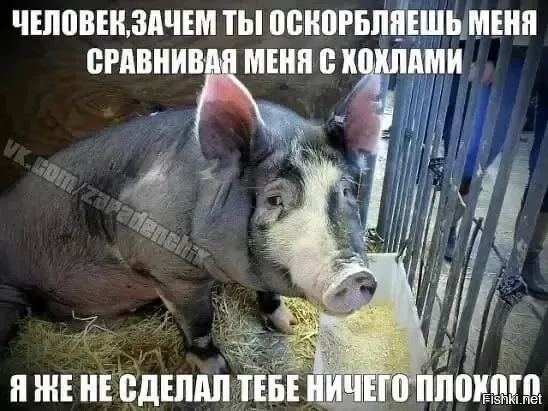 В Одессе нацистские ублюдки снесли памятник Высоцкому