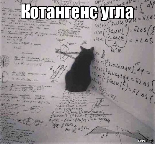 17 королей драмы, которые заслуживают оглушительных оваций