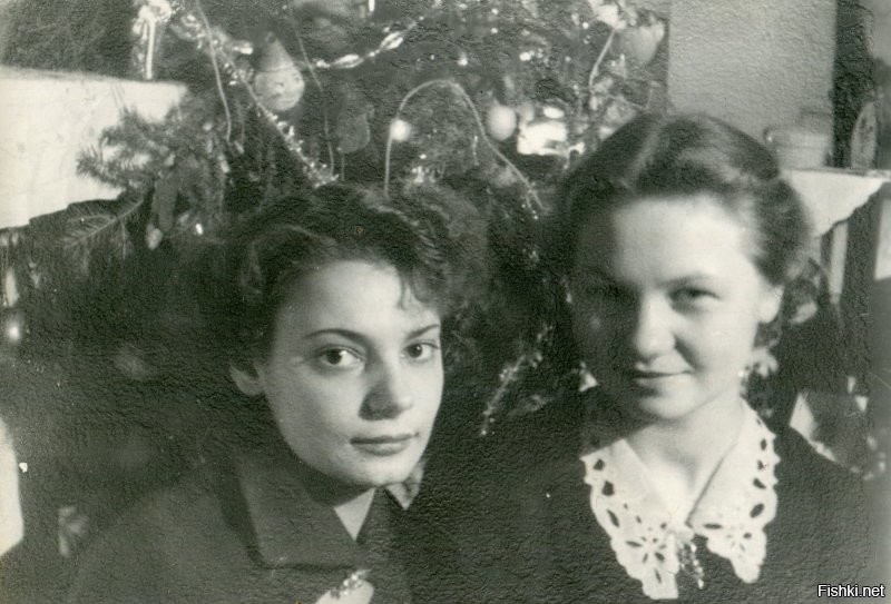 1955г.
