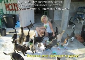 20 увлекательных уличных фотографий, на которых подловили котеек