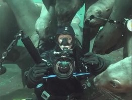 Просто гифки, всякие и&nbsp;разные