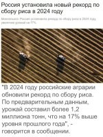 Значит подорожает.