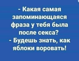 Улыбатор