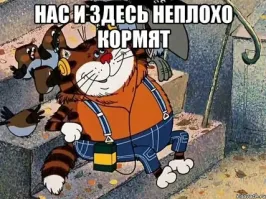 А я на марс не собирался.Нас и здесь неплохо кормют.