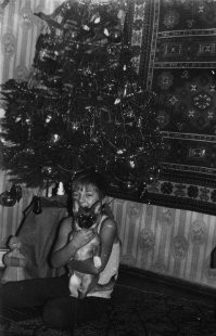 Только наступил 1982 год. Я со своей первой собакой. Нет, это не новогодний подарок, как можно было бы подумать, собаку завёл отец (ну, как завёл -- подобрал на улице замерзающего щенка) и на момент, когда сделано фото, это ещё его собака. Пройдёт месяца три, как она вдруг станет моей, а после летних каникул я уже не буду представлять себе, как это можно жить без собаки.
А ещё через десять лет я стану коллистом, которым и являюсь поныне. 

Эх, как молоды мы были...