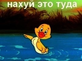 В Берлине Новый Год встретили масштабным прорывом канализации